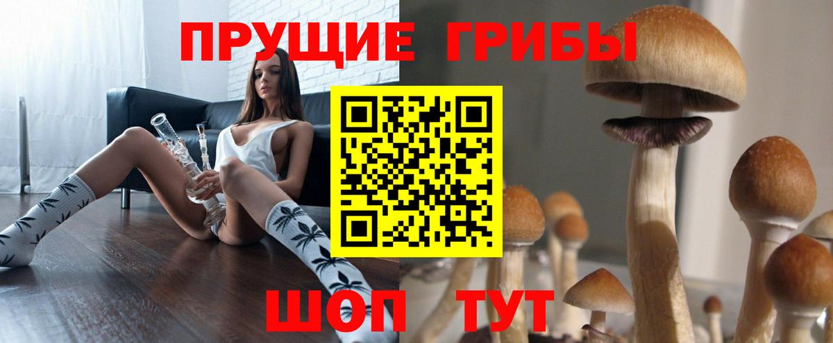 Псилоцибиновые грибы GOLDEN TEACHER  Галлюциногенные грибы мухоморы  Вход с VPN  Соль-Илецк 